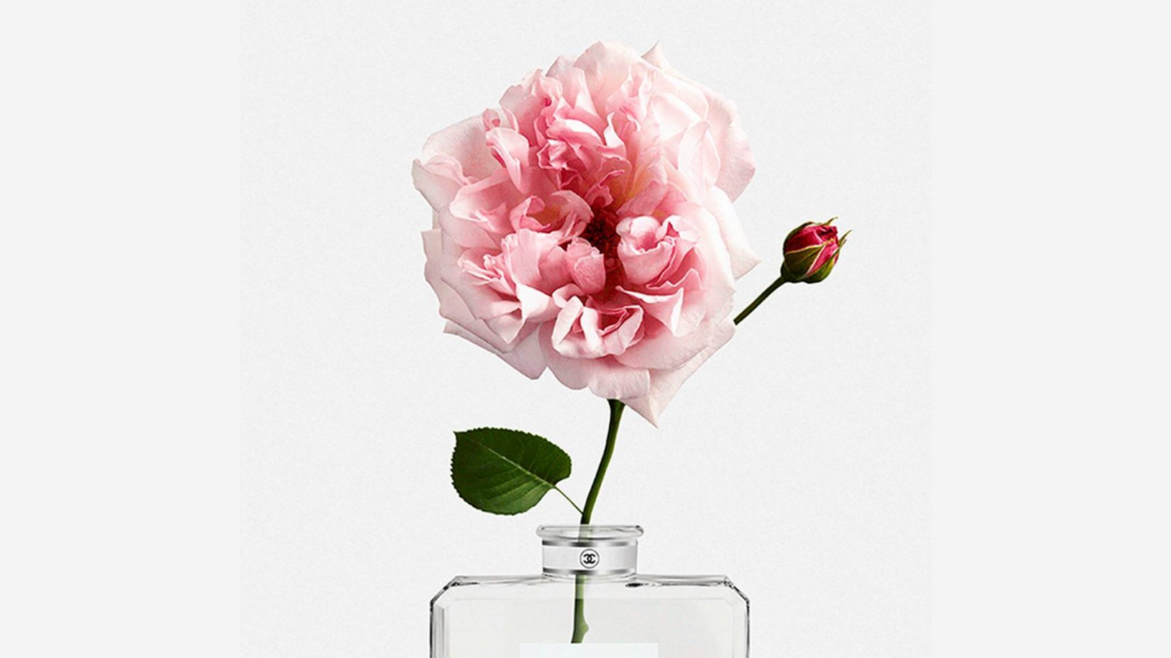 Dans les champs de Chanel Dans les champs de Chanel