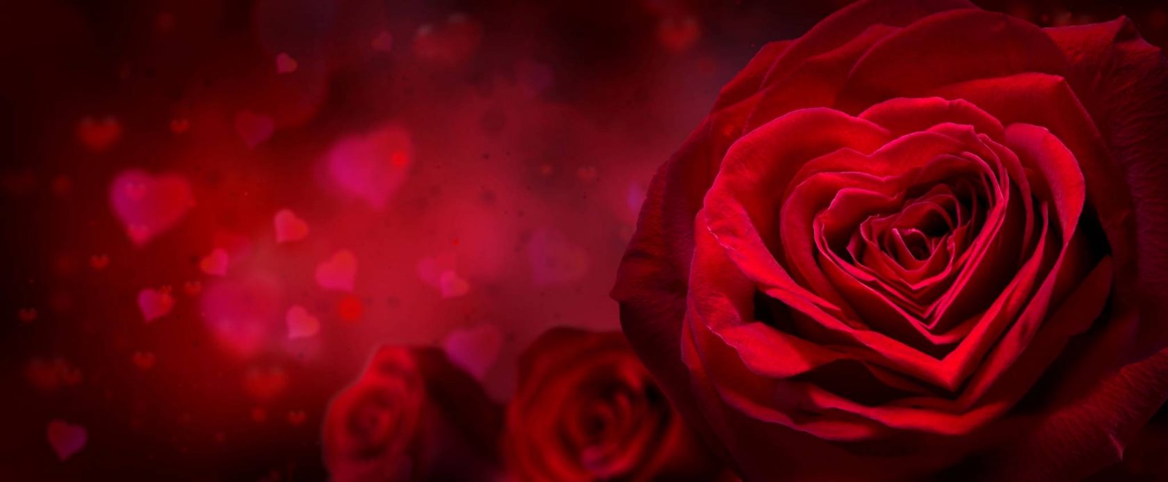 1 raison supplémentaire de choisir Tsarine pour la Saint-Valentin !