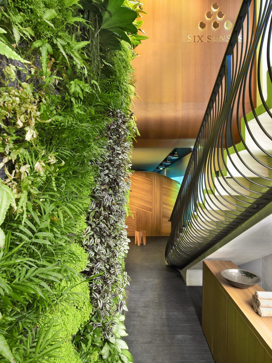 Le soin « Future Maman » à découvrir Le soin « Future Maman » à découvrir