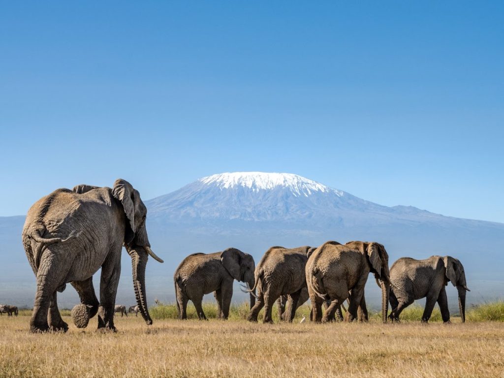 angama amboseli 
