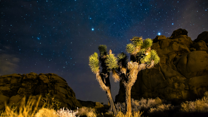 Greater Palm Springs
