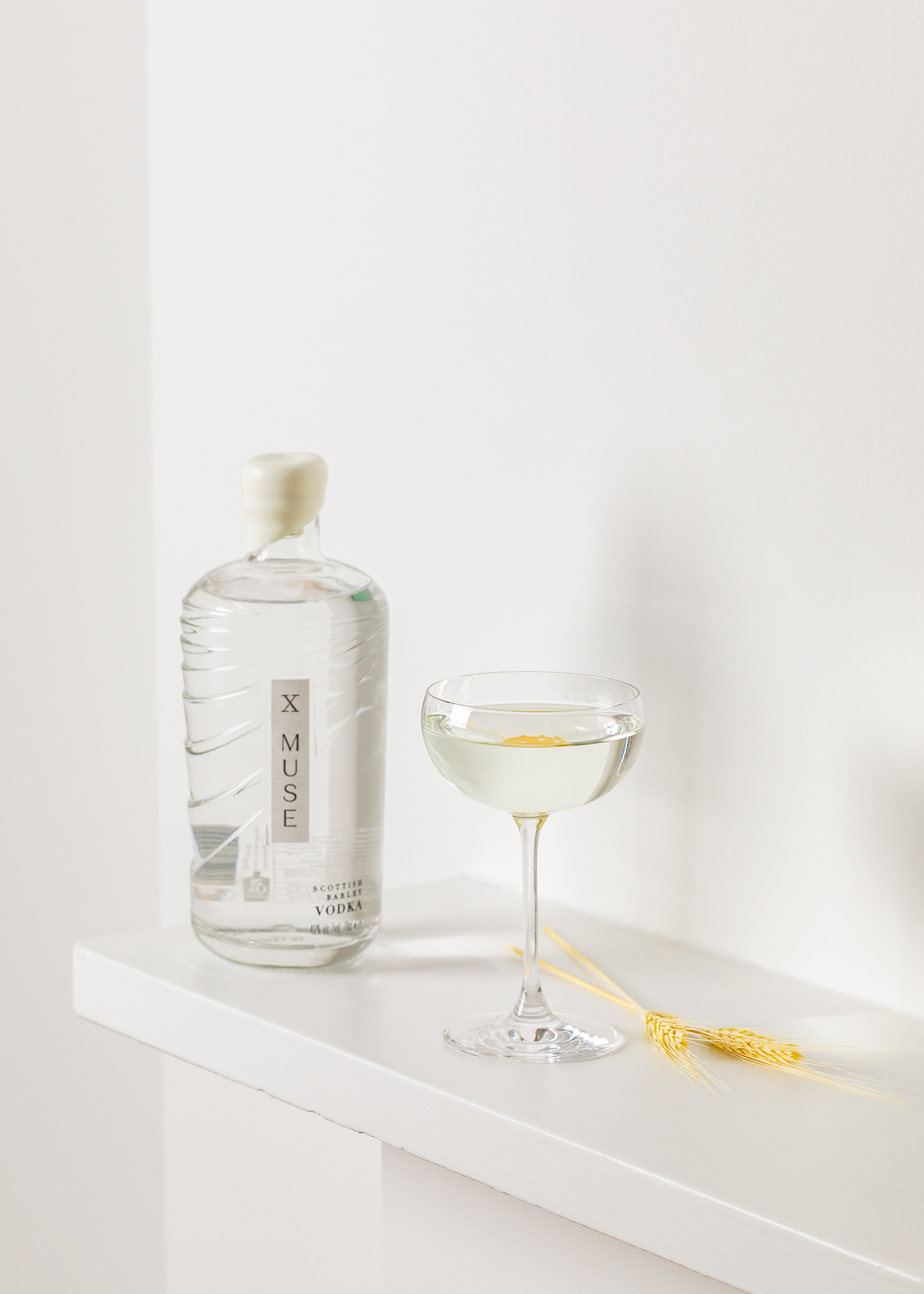 x muse martini