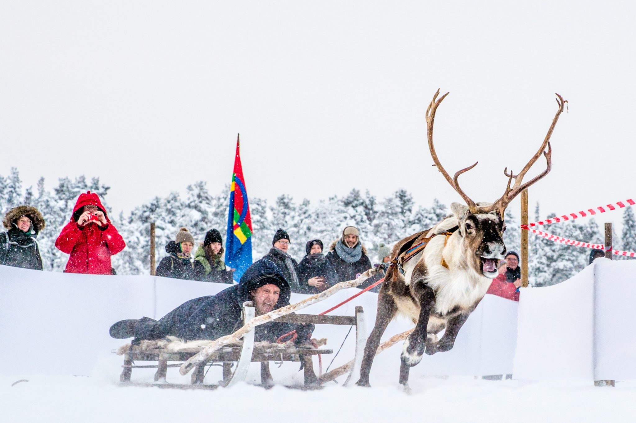 asaf kliger reindeer racing 6505