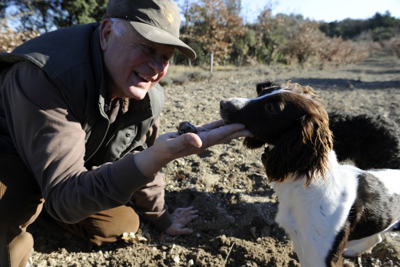france gastronomie truffes