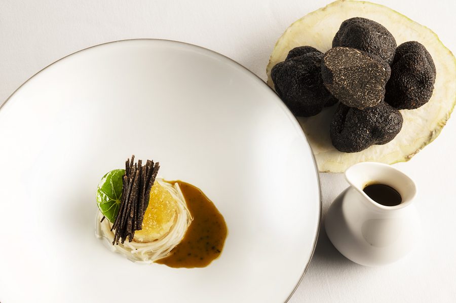 le clair de la plume 