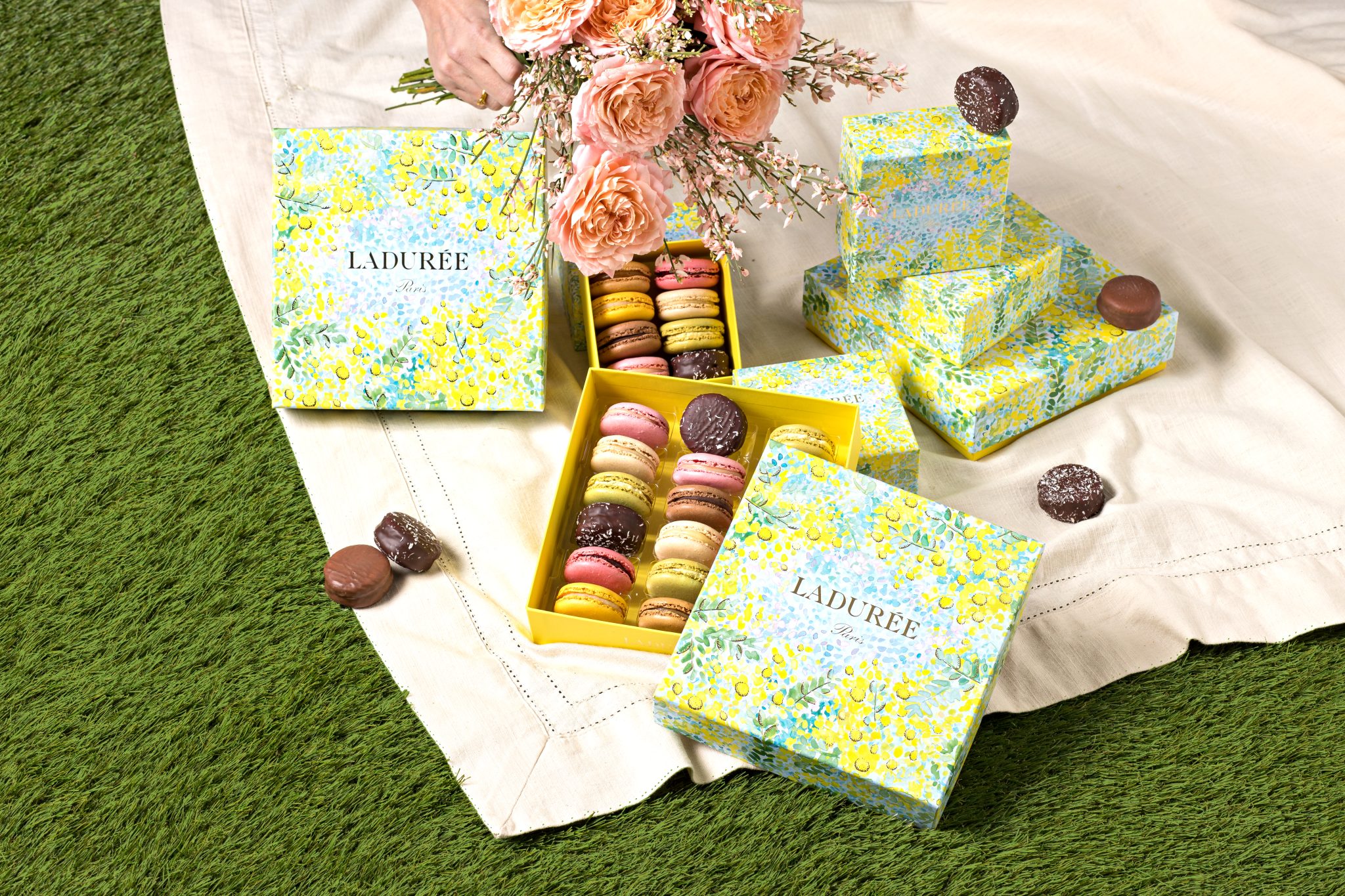 picnic coffret