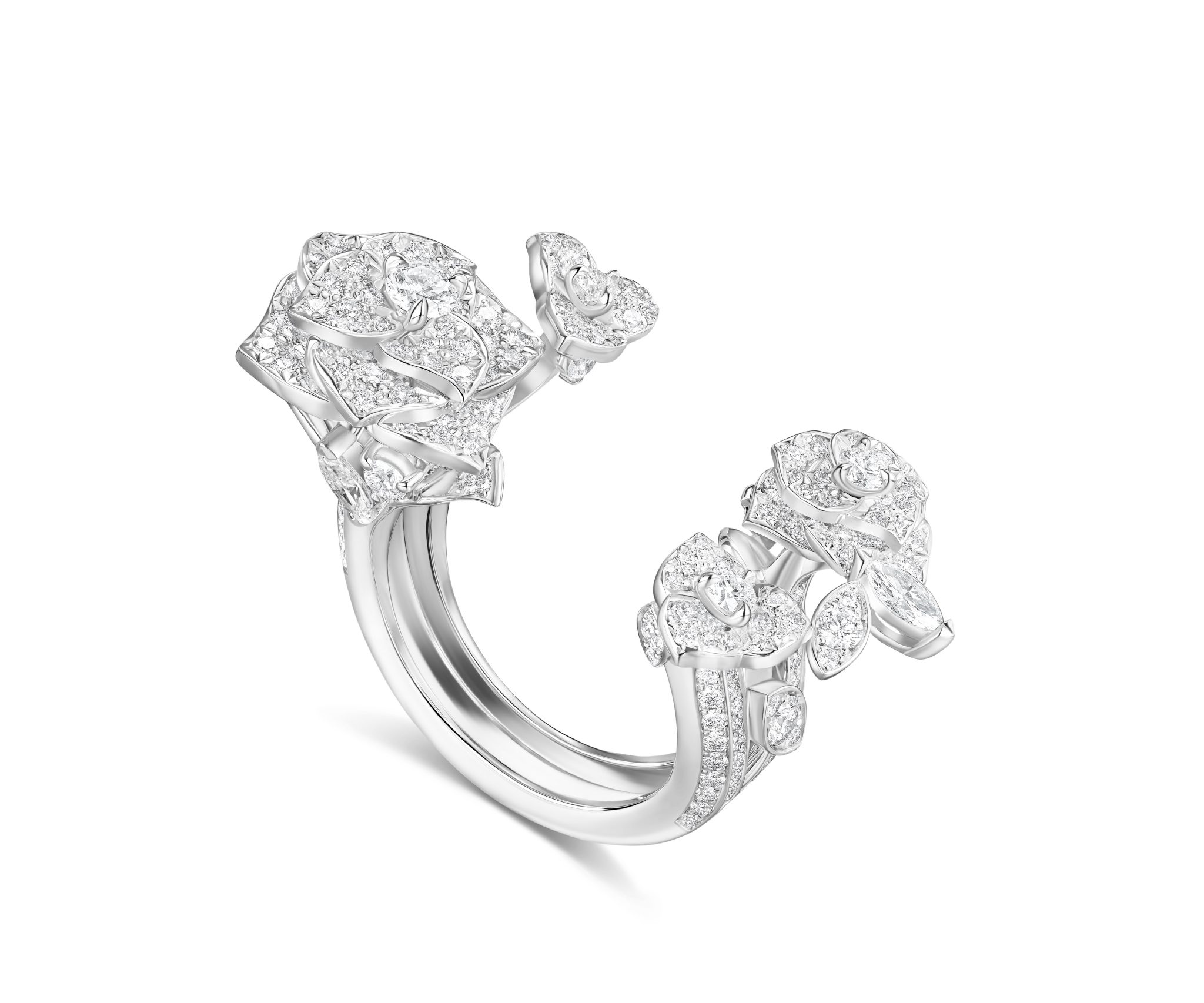 Rose Piaget