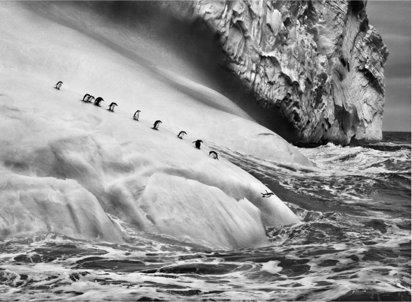sebastião salgado