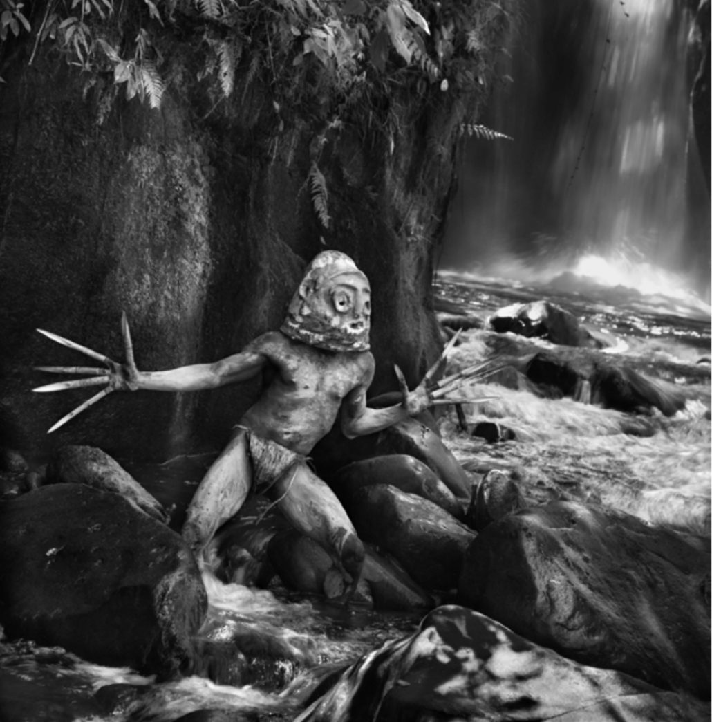 sebastião salgado