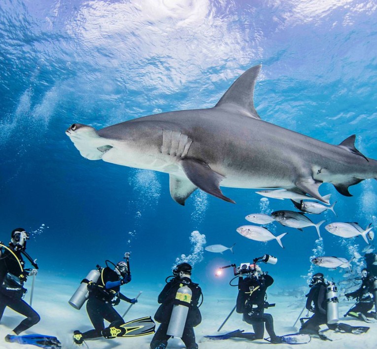 les bahamas www.obsessionluxe.com www.lamodecnous.com 99
