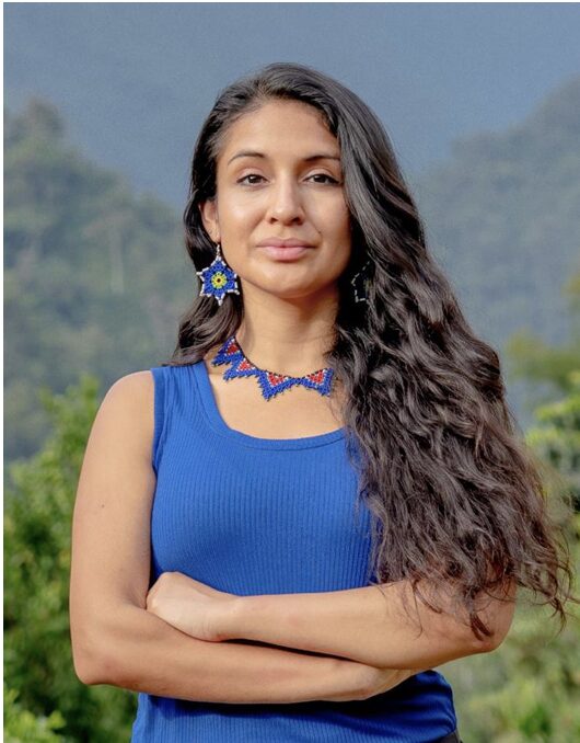 osa Vásquez Sauver les Espinoza ( pérou abeilles pour ) protéger l’Amazonie La biochimiste Rosa Vásquez Espinoza a été la première à établir scientifiquement un lien entre la déforestation en Amazonie et le déclin des abeilles sans dard – des pollinisatrices essentielles des espèces végétales endémiques qui contribuent à la subsistance des populations en garantissant la production alimentaire. Ses recherches ont largement contribué à une décision historique au Pérou, qui a abouti non seulement à la protection juridique des abeilles sans dard, mais aussi à la reconnaissance de leurs droits. → Grâce aux Prix Rolex, elle pourra développer un corridor géré par les populations autochtones, qui abrite les habitats de ces espèces protégées en Amazonie péruvienne