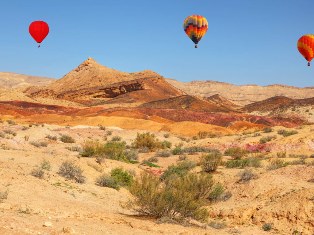 colorful,sands,park,yeruham.,flowering,bushes.,colorful,hot,air,balloons