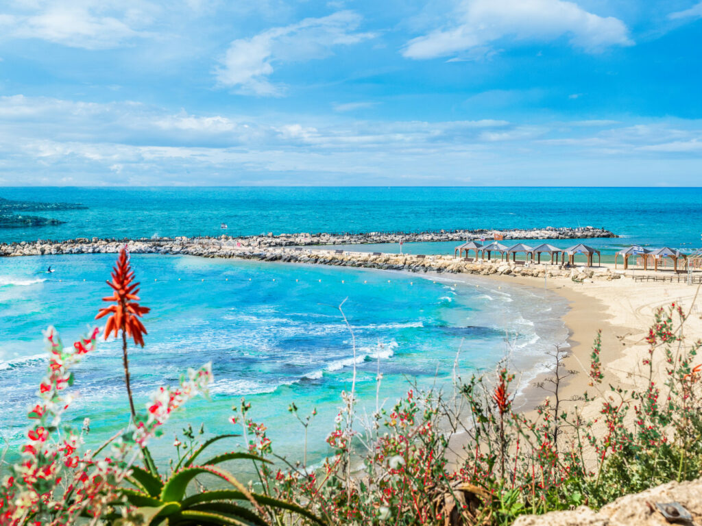 hilton,bay,beach,on,tel,aviv,,israel