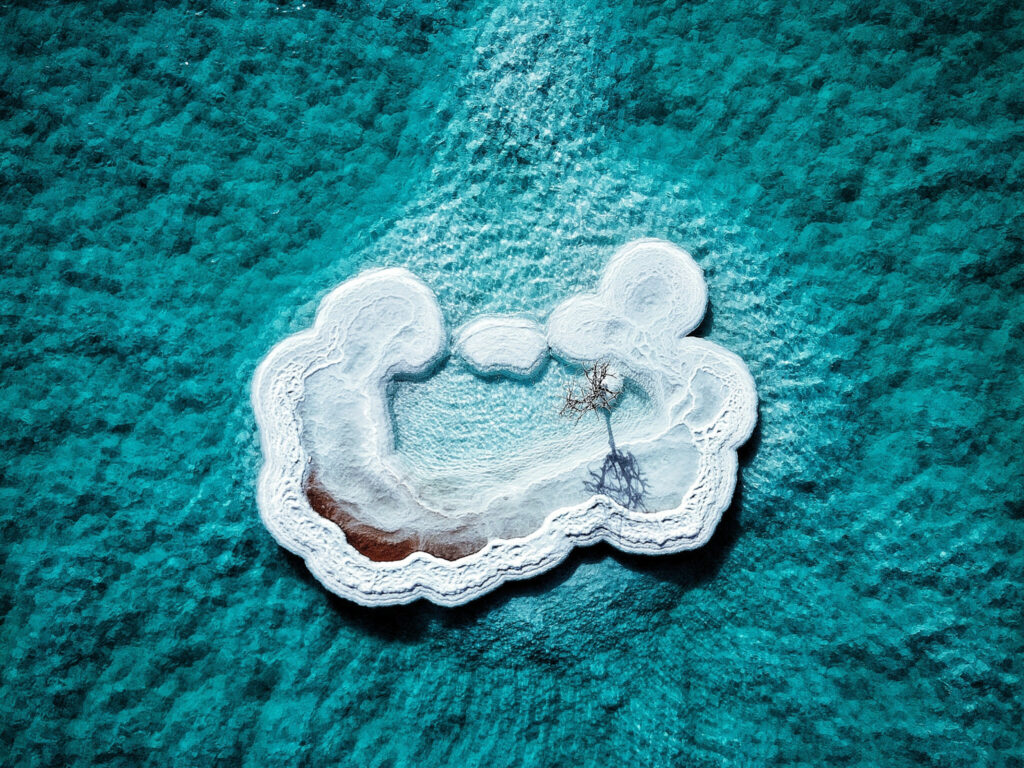 the,salt,island,with,tree,in,dead,sea